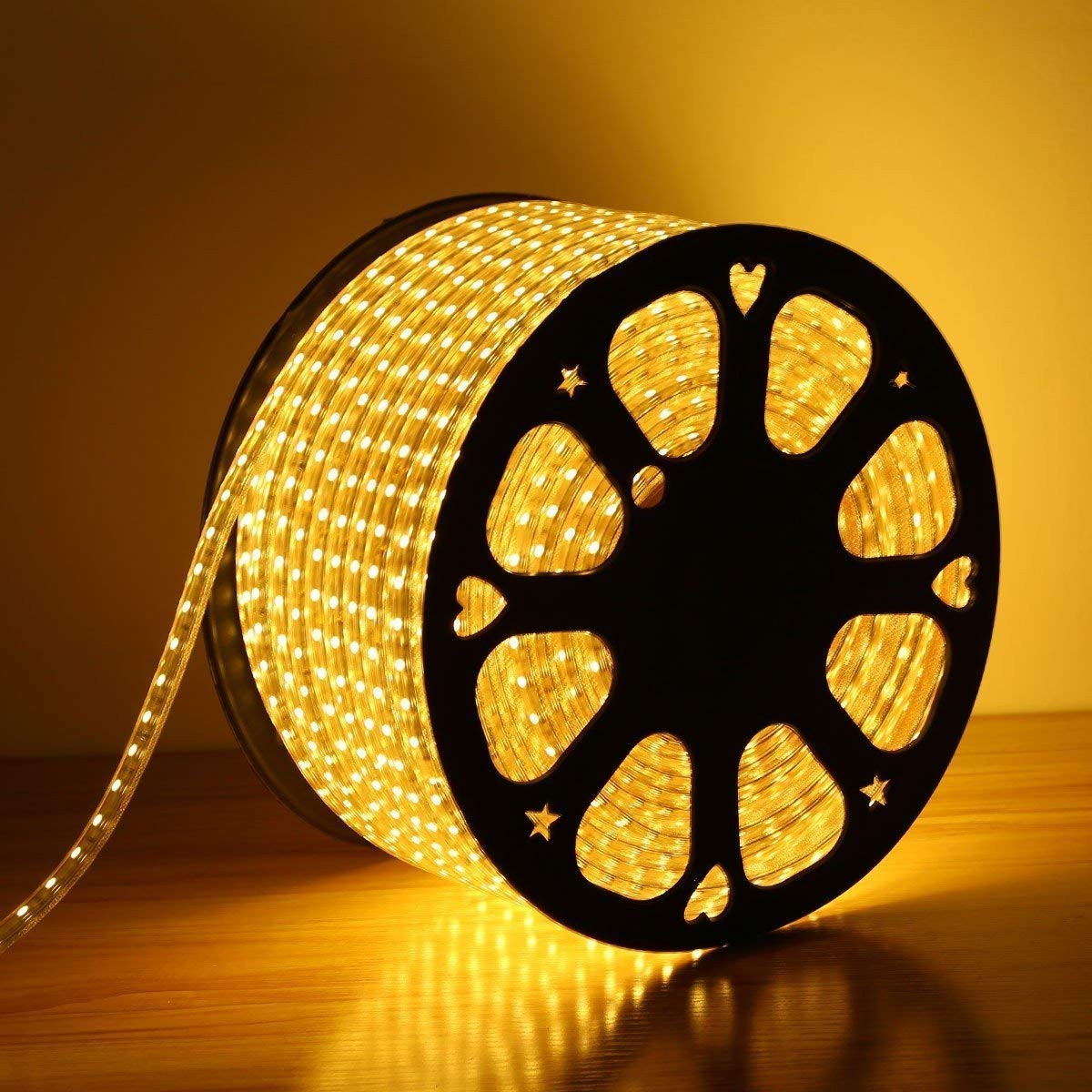 ROPE LIGHT (45MTR)
